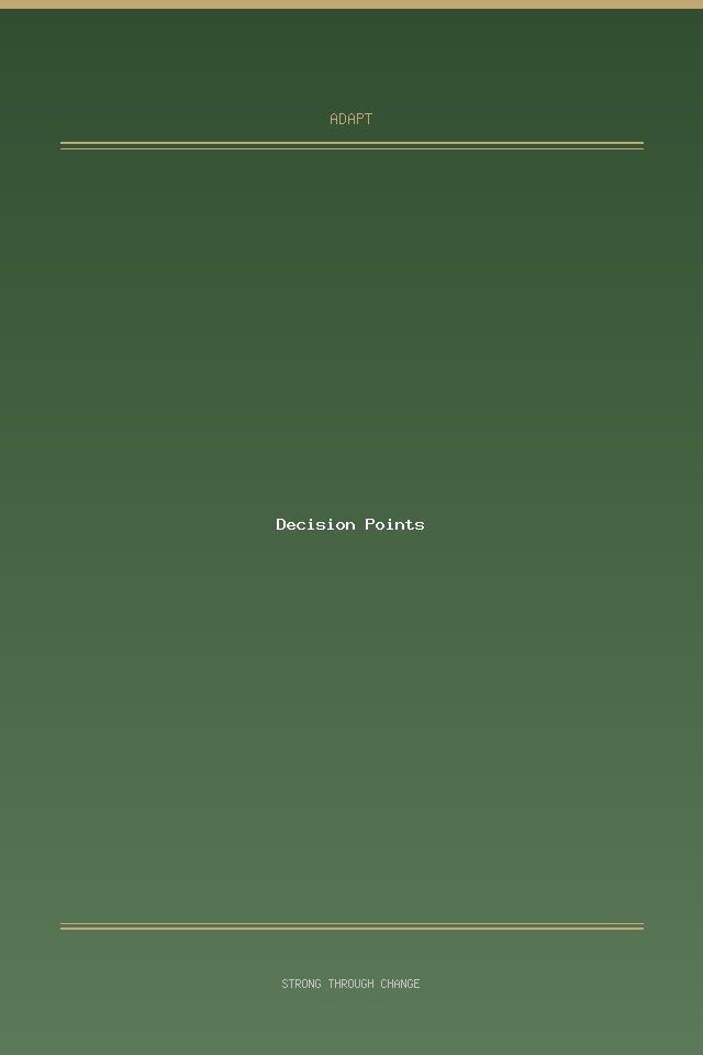 Decision Points cover
