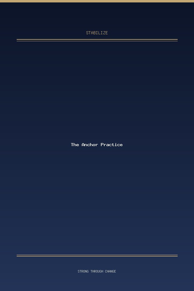 The Anchor Practice cover