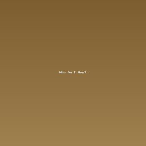Who Am I Now?: Reconstructing Identity After a Life-Defining Change